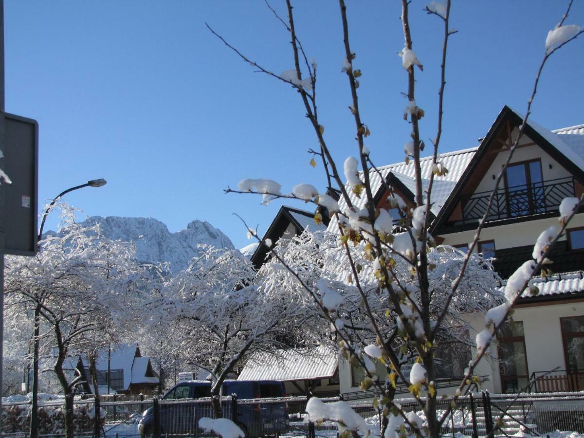 Przy Szlaku Zakopane Centrum Pokoje & Apartamenty Kültér fotó